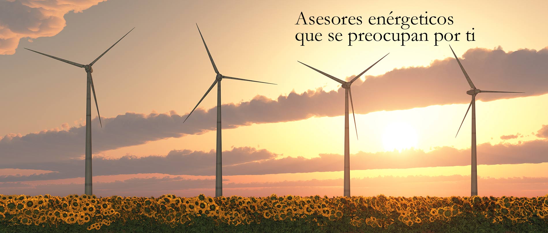 Imagen de seccin